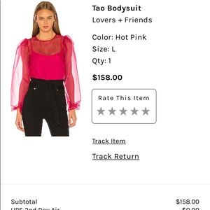 Revolve sheer bodysuit.